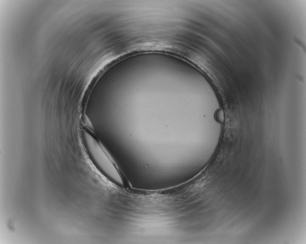 X0000099560992200805301538