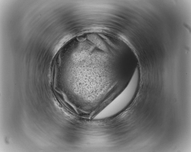 X0000099560994200805301538