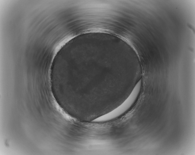 X0000099560995200805301538