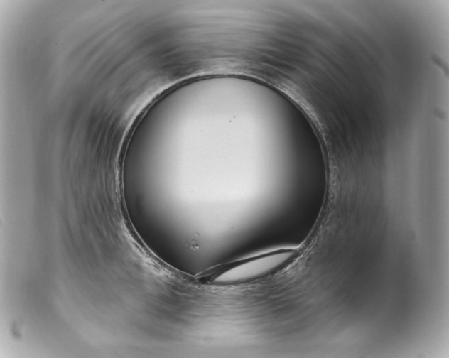 X0000099560996200805301538