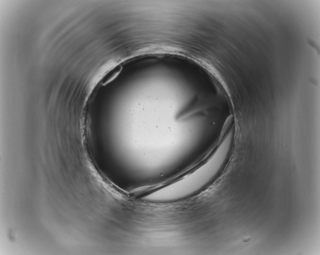 X0000099560997200805301537