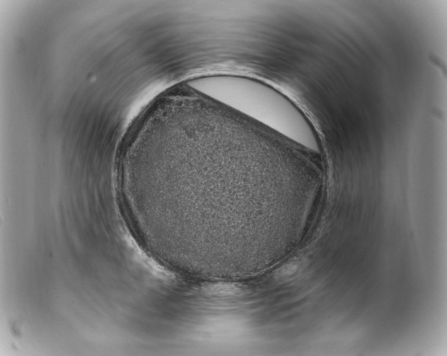 X0000099560998200805301537