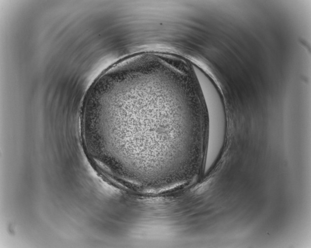 X0000099560999200805301537