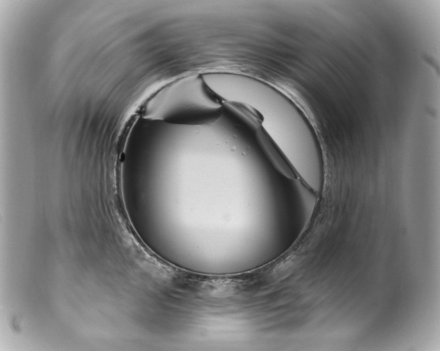 X0000099561000200805301537