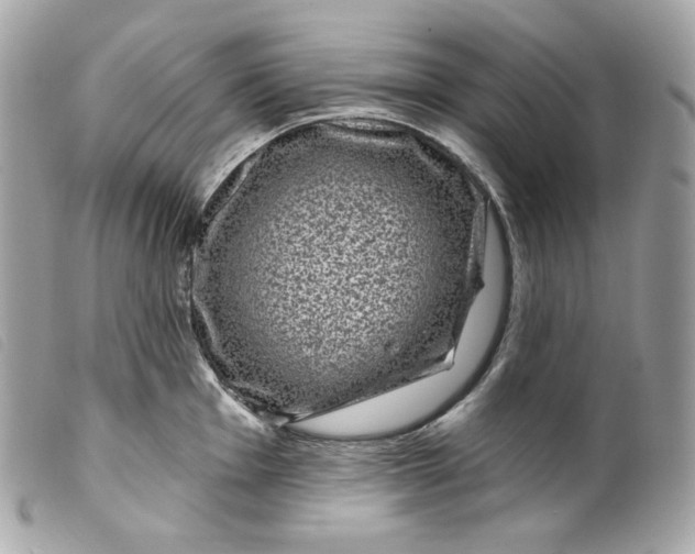 X0000099561001200805301537