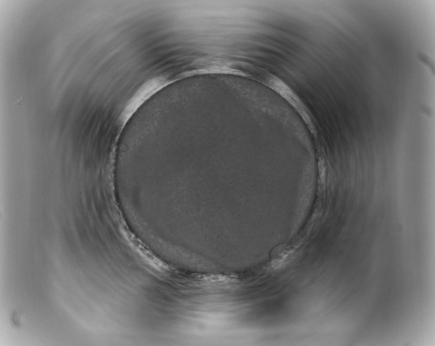 X0000099561002200805301537