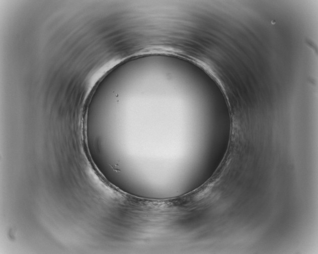 X0000099561003200805301537