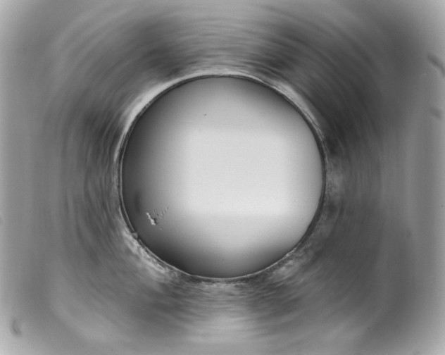 X0000099561004200805301537