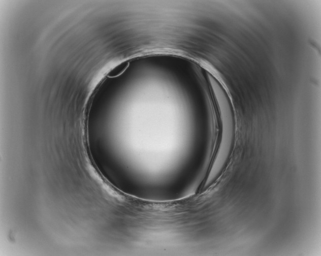 X0000099561005200805301537