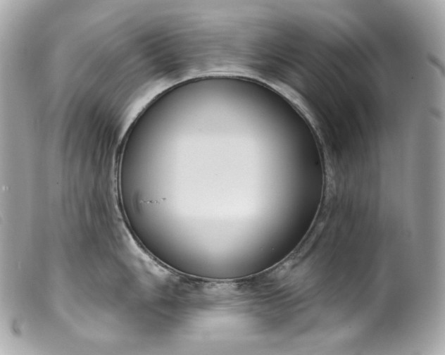 X0000099561006200805301537