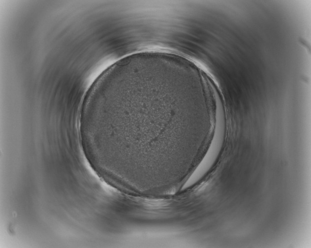 X0000099561007200805301537