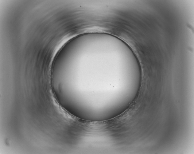 X0000099561008200805301537