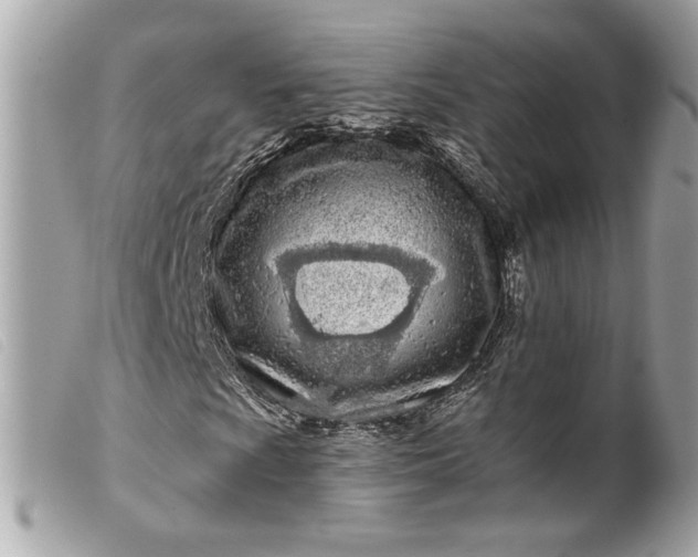 X0000099561009200805301537