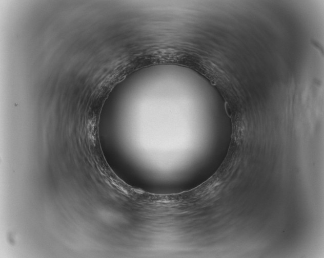 X0000099561010200805301537