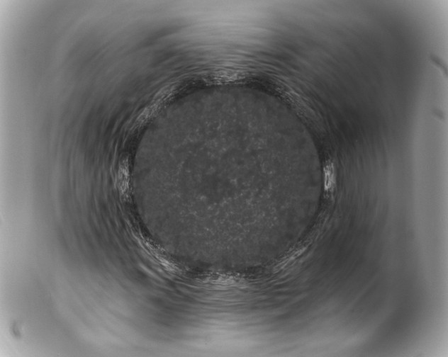 X0000099561011200805301537