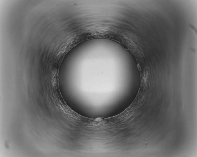 X0000099561012200805301537