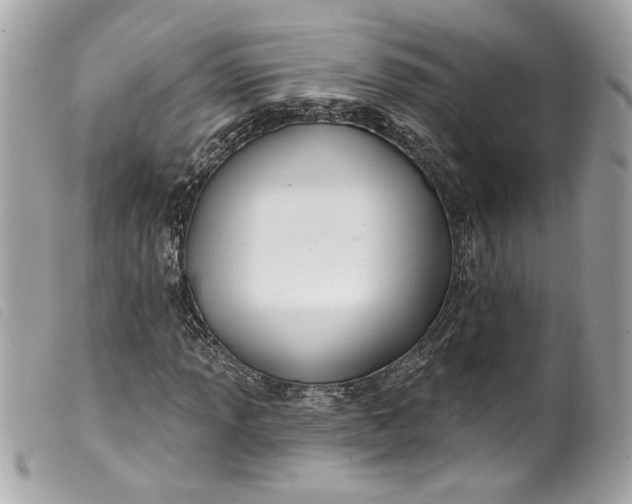 X0000099561013200805301537