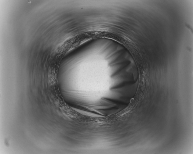 X0000099561014200805301537