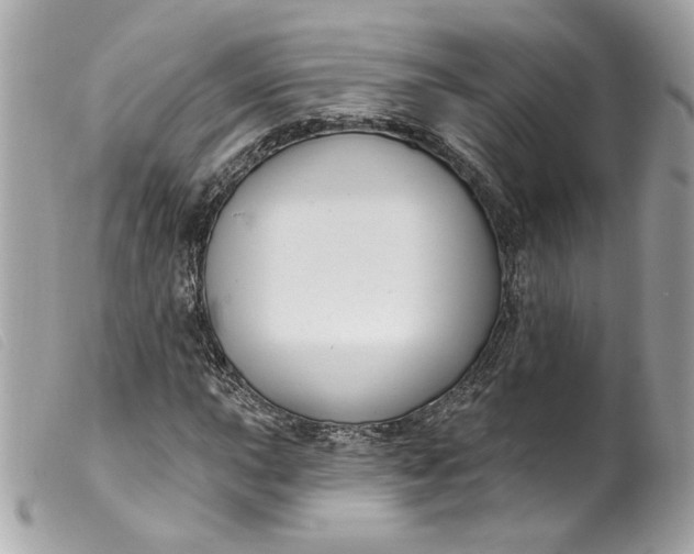 X0000099561015200805301537