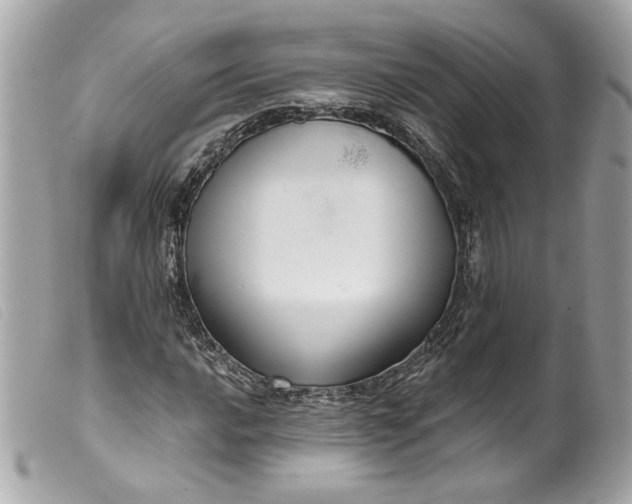 X0000099561016200805301537