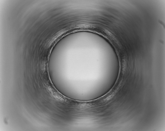 X0000099561017200805301537