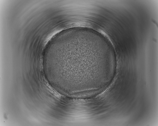 X0000099561019200805301537