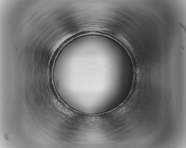 X0000099561020200805301537