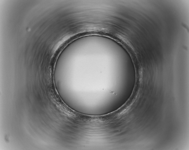 X0000099561021200805301537