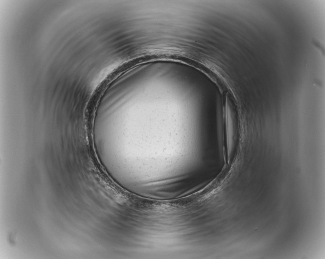 X0000099561022200805301537