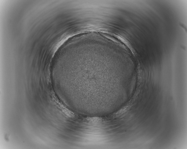 X0000099561023200805301537