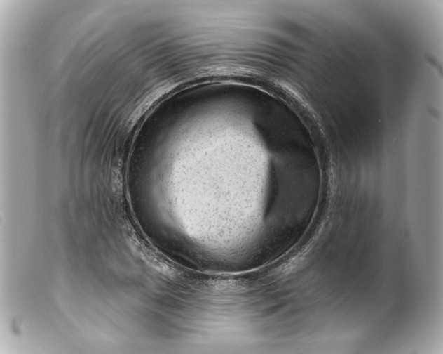 X0000099561025200805301537