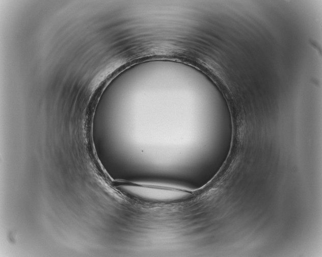 X0000099561026200805301537