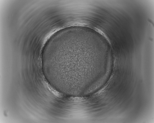 X0000099561027200805301537