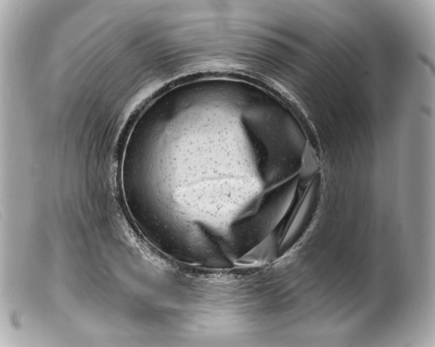 X0000099561029200805301537