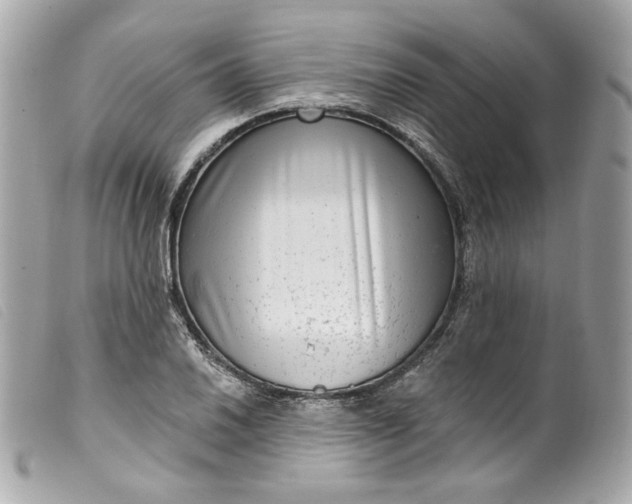 X0000099561030200805301537