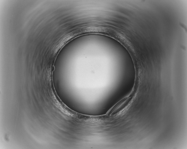 X0000099561033200805301537