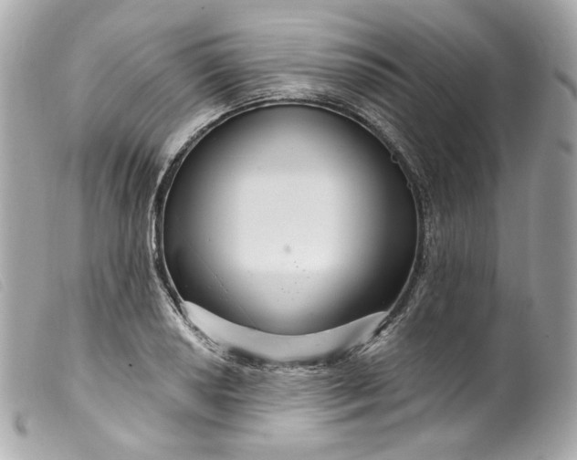 X0000099561034200805301537