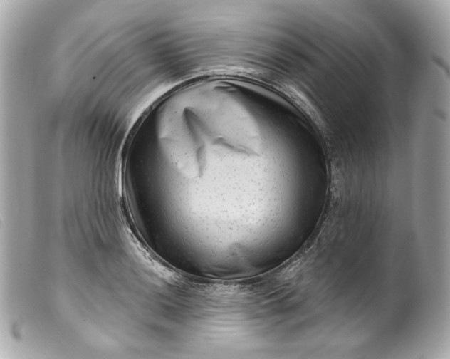 X0000099561036200805301537