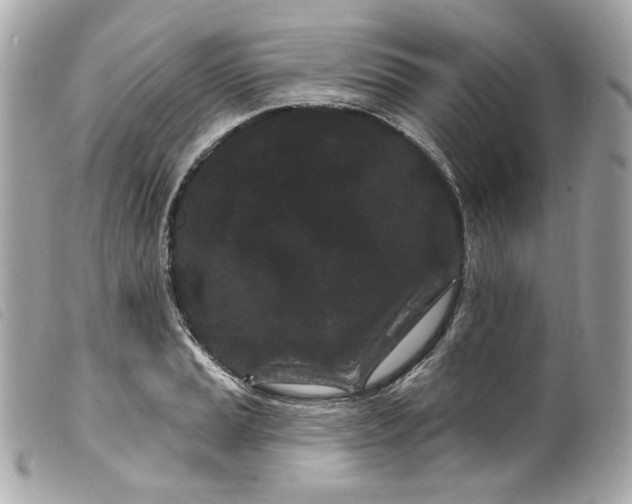 X0000099561037200805301537