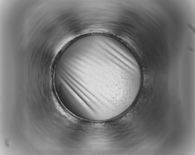 X0000099561038200805301537