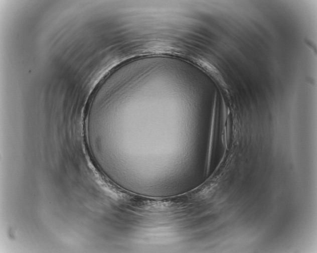 X0000099561039200805301537