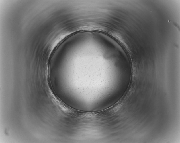 X0000099561040200805301537