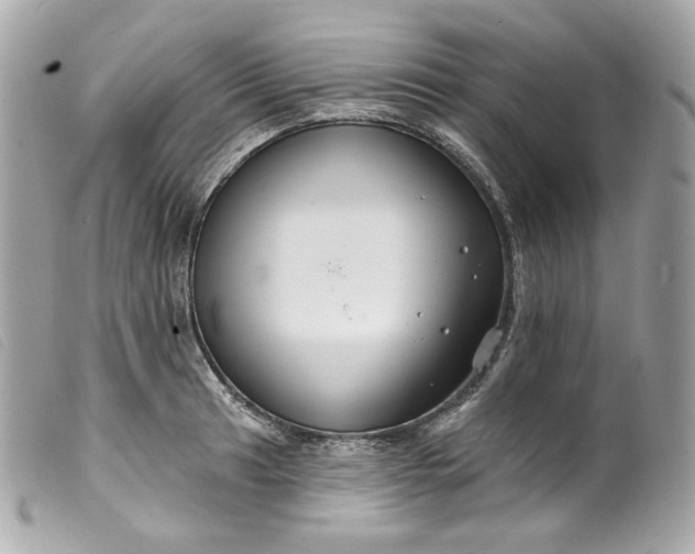 X0000099561041200805301537