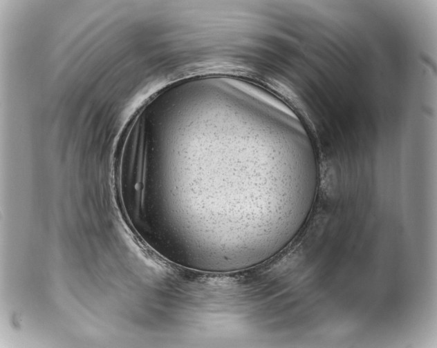 X0000099561043200805301537