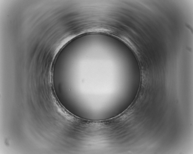 X0000099561044200805301537