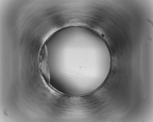 X0000099561046200805301537