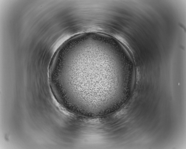 X0000099561047200805301537