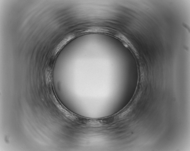 X0000099561049200805301537