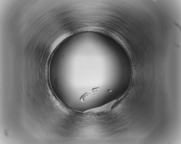 X0000099561050200805301537