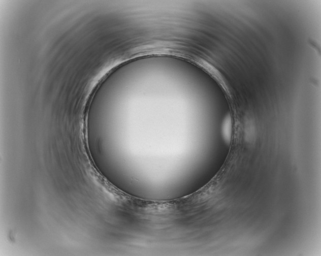 X0000099561051200805301537